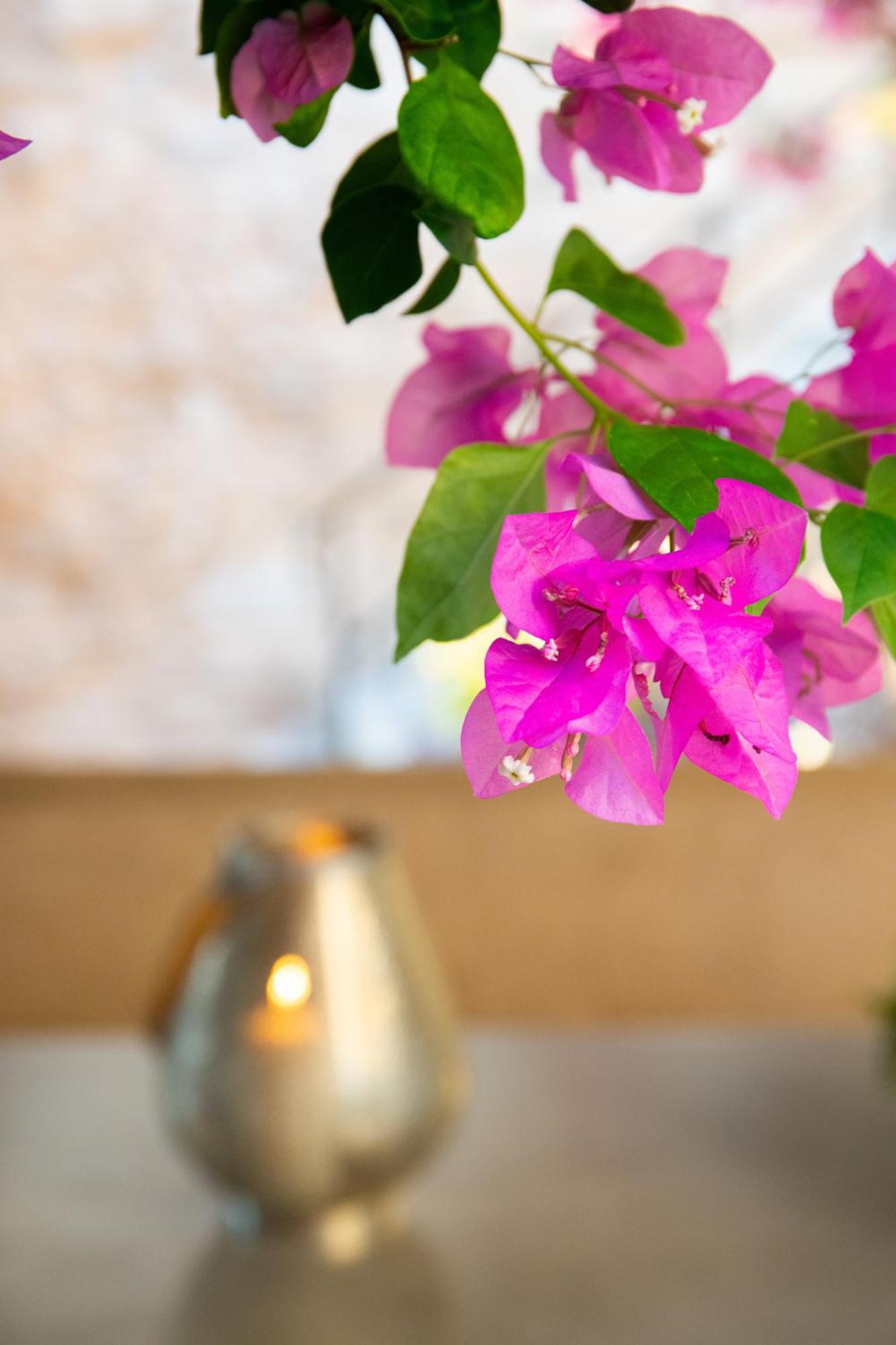 The Old Town House Apartment Rhodes City Ngoại thất bức ảnh
